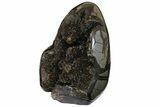 Free-Standing, Polished Septarian Geode - Black Crystals #172804-3